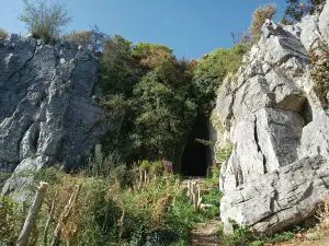 Valley of the Caves of Saulges - Prehistoric Museum
