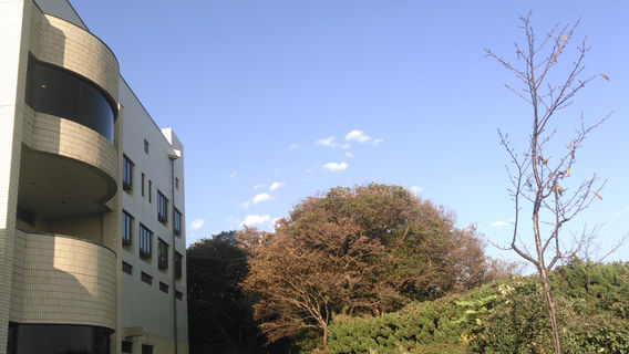 Yokosuka City Museum