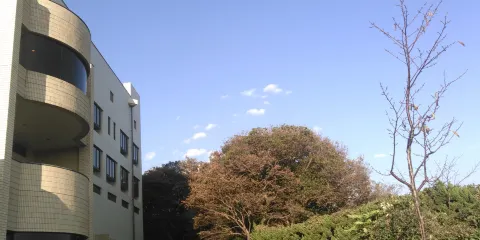 橫須賀市自然 人文博物館