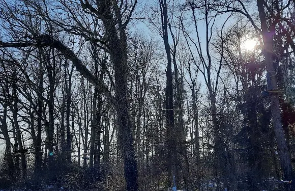 博登湖畔克雷斯波洛