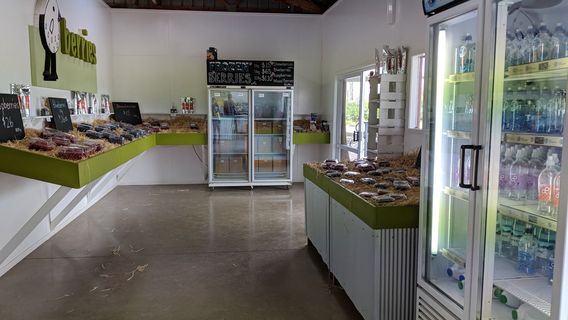 Piopio Berry Orchard