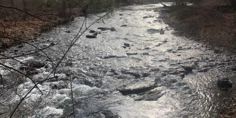 Mount Holly marsh preserve