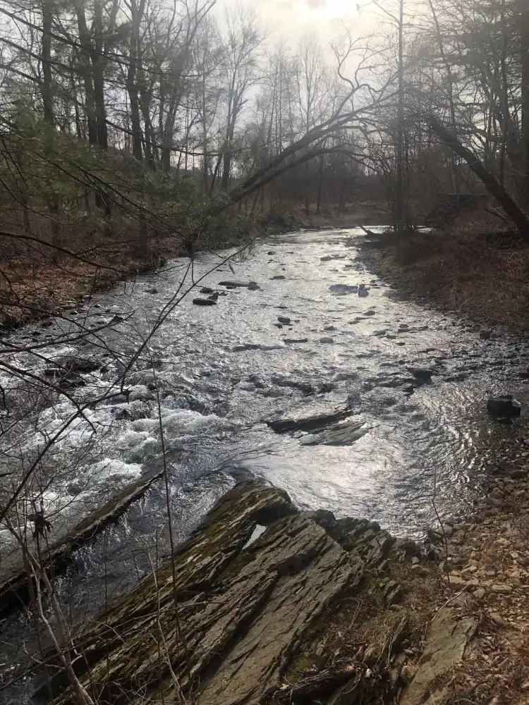 Mount Holly Springs