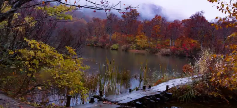 Hotels near Hakubaoike Station