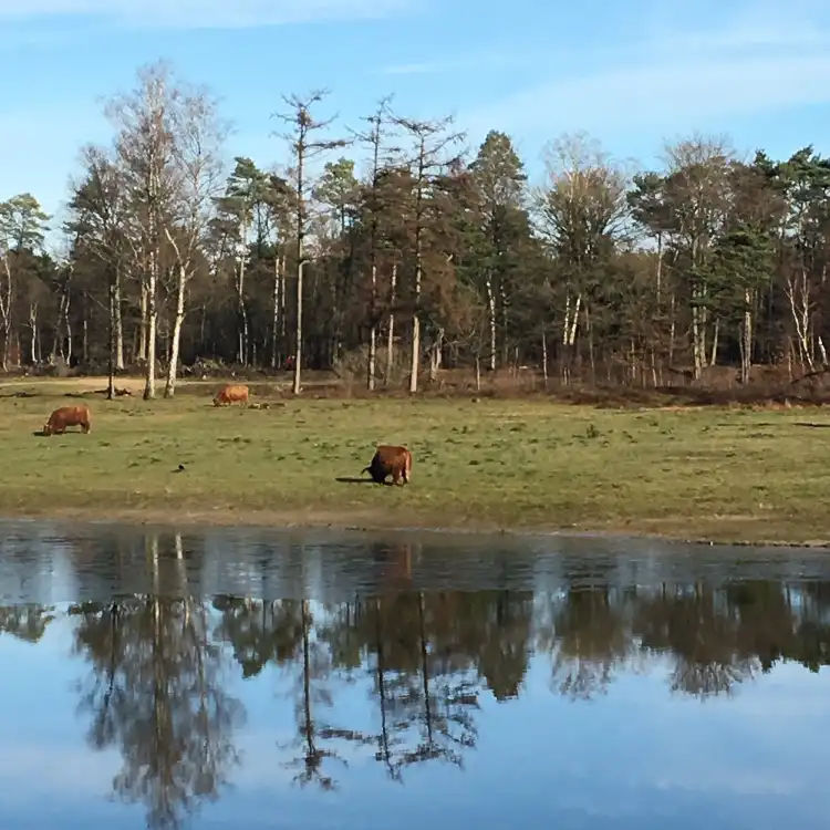 Hotels in Dorst