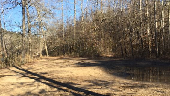 Buck's Pocket State Park