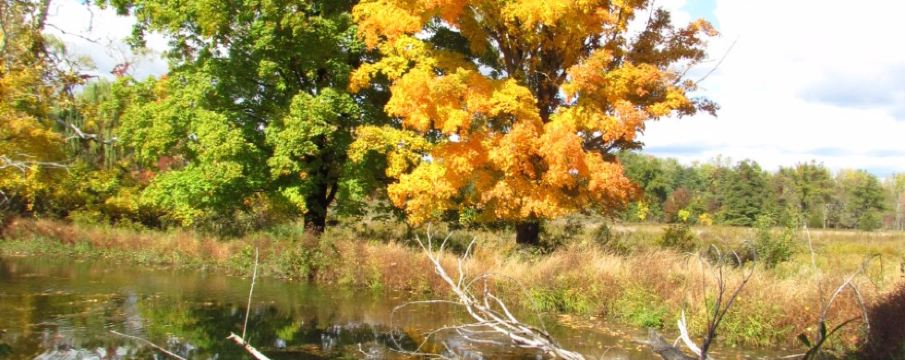 コーンウォール