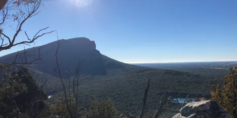 The Picaninny （Bainggug）