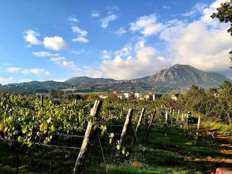 Hotels in Torrecuso