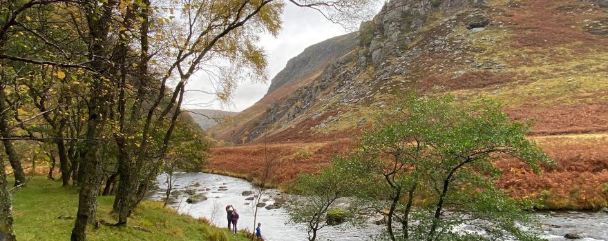 Gwenffrwd-Dinas Nature Reserve