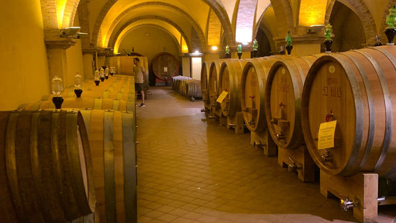 Montalcino