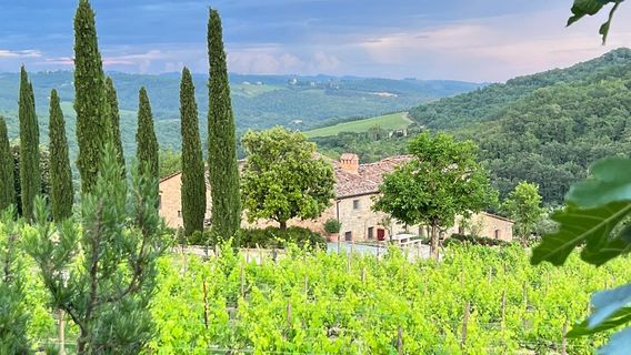 Brancaia Winery & Osteria