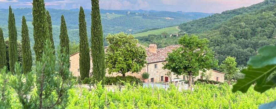 Brancaia Winery & Osteria