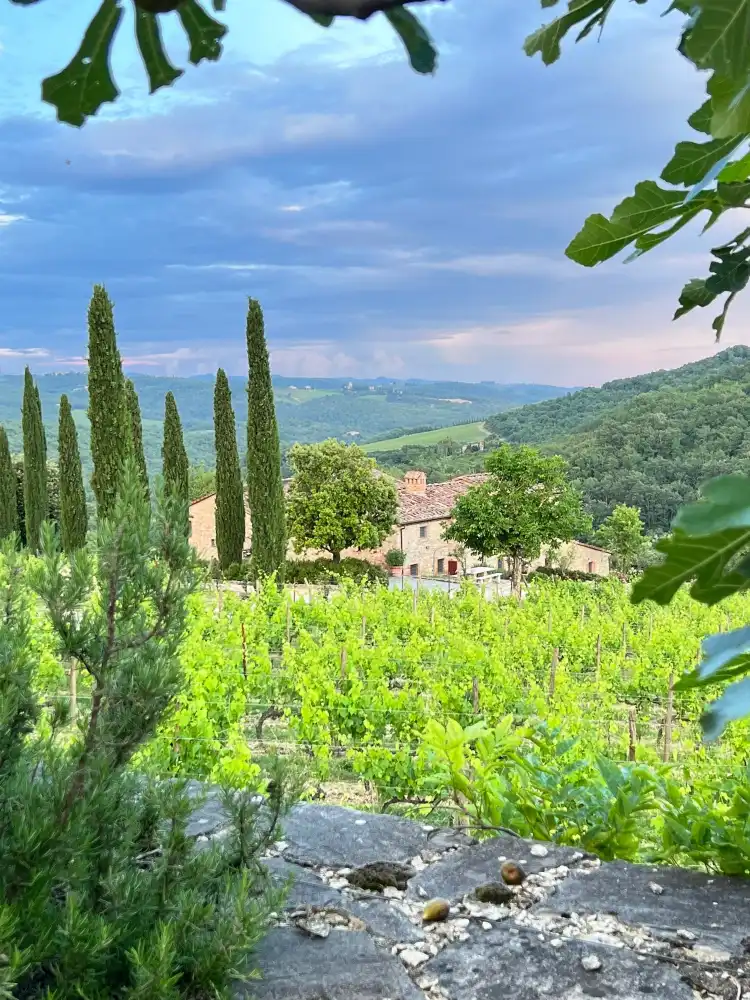 Hotels in Radda in Chianti