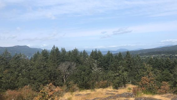 Brentwood Bay