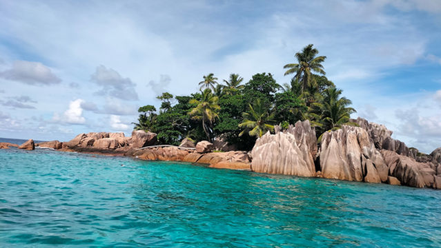 Surfari Seychelles