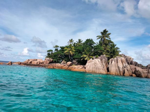 Surfari Seychelles