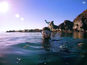 Blue Nation Diving