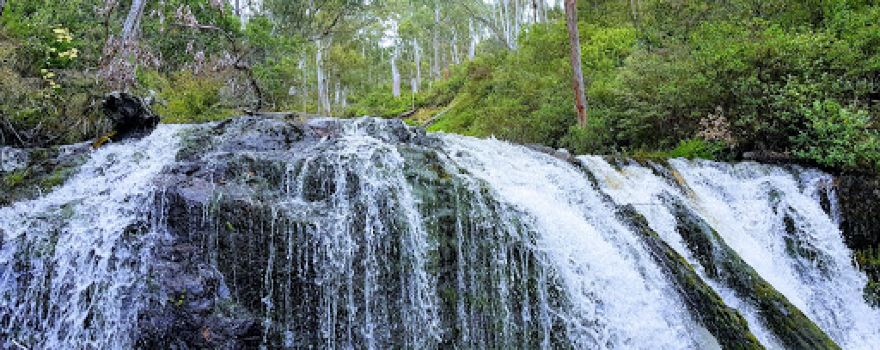 Buddong Falls Campground