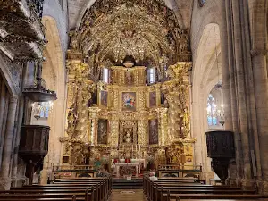 Morella