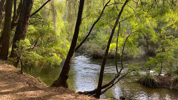 Stones Brook Campground