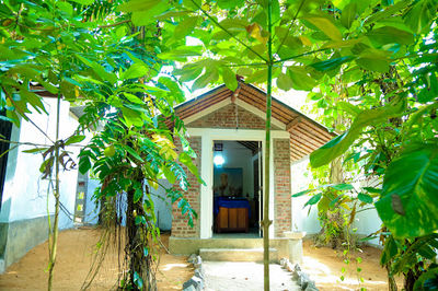 Prince Lanka Ayurvrda