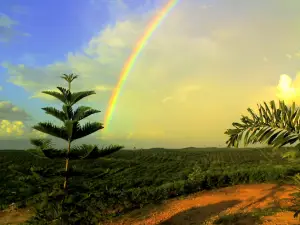 Bukit Batu Daya