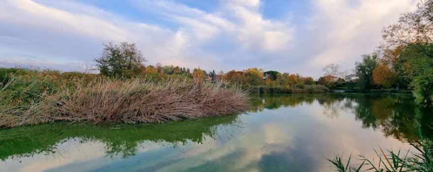 Riserva naturale Lago di Sartirana