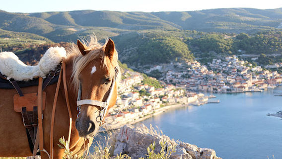 Horse riding Brač