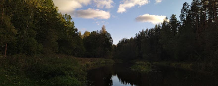 Skābumbaļlas avots un ala
