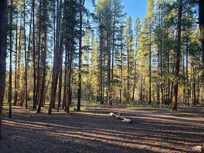 Silver Dollar Campground