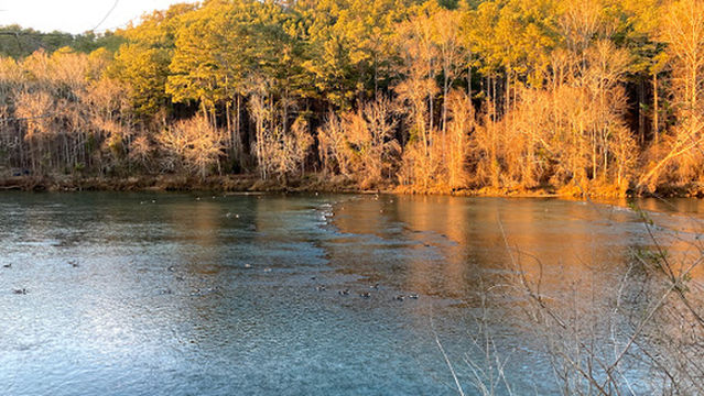 Riverside Day Use Area