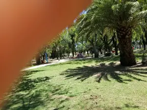 Plaza Manuel Belgrano