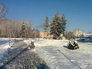 Dk "Gornyak"