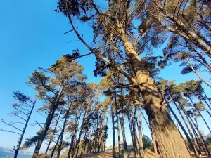 Playa Loncura