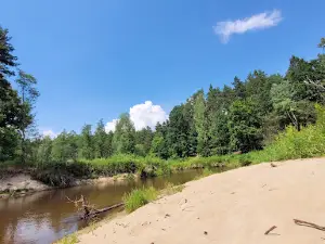 The Best - Spływy Kajakowe Tanew i Roztocze