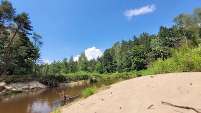The Best - Spływy Kajakowe Tanew i Roztocze