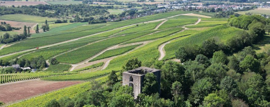 Burgruine Helfenberg