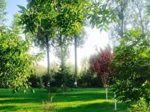 Ferma Iancu