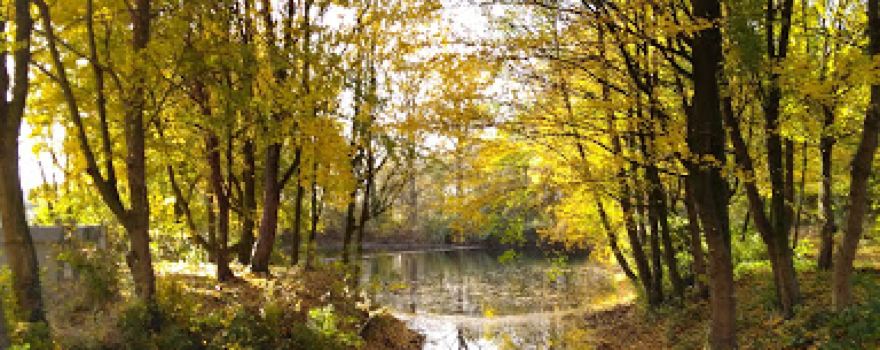 Парк Эаст Камбридгешире