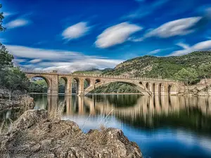 Panta d'ulldecona