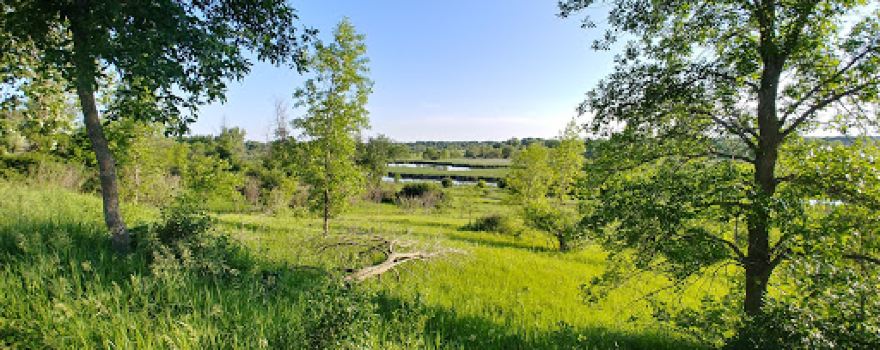 Pomme De Terre Campground