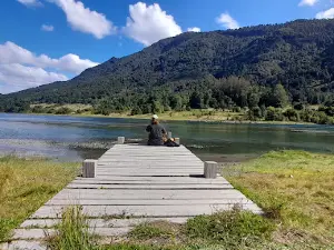 Playa del lago Riñihue