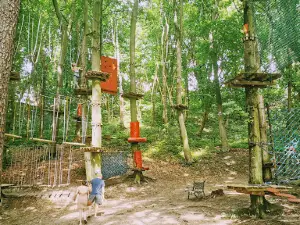 Park linowy Krynica Morska