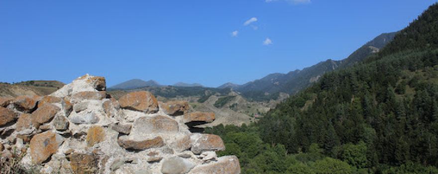 Castle of Ota