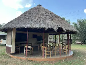 Kikonda Forest - Nile Fibreboard Ltd