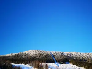 Björnbuseland By