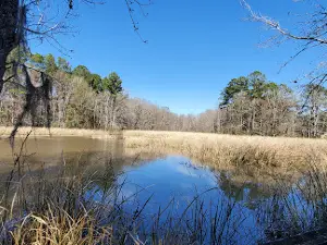 Taw Caw Creek Park