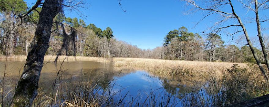Taw Caw Creek Park