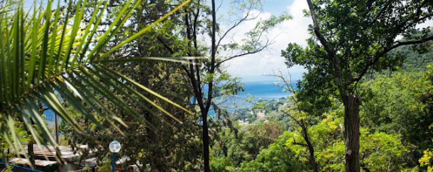 Camping Genova Est